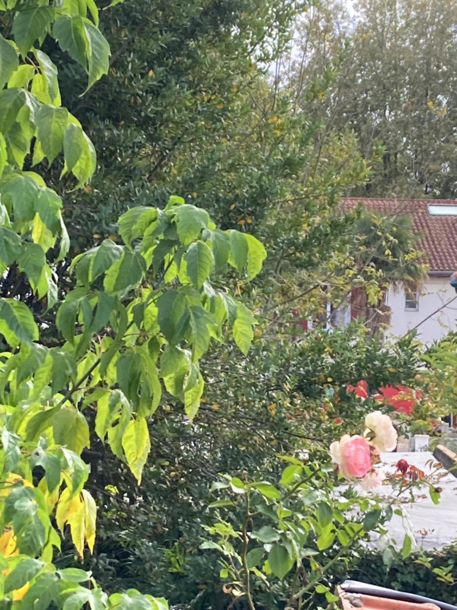 Appartement Avec Vue Sur L Adour Urt Exterior photo